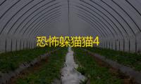 恐怖躲猫猫4